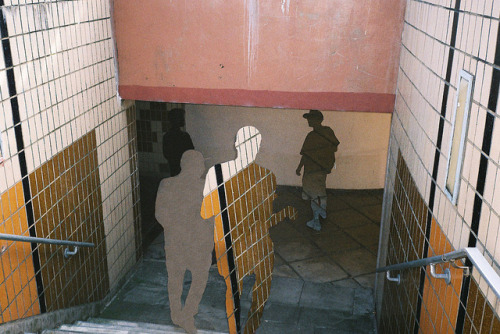 fyrstaflokkstilgangsleysi