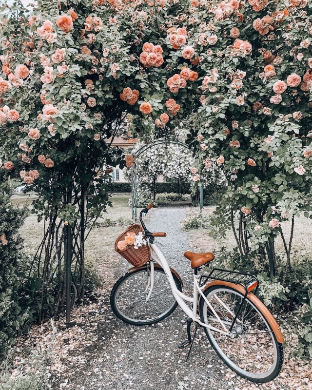 bike | Tumblr