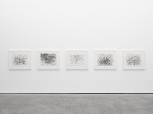 artist-as-collector:JULIE MEHRETU