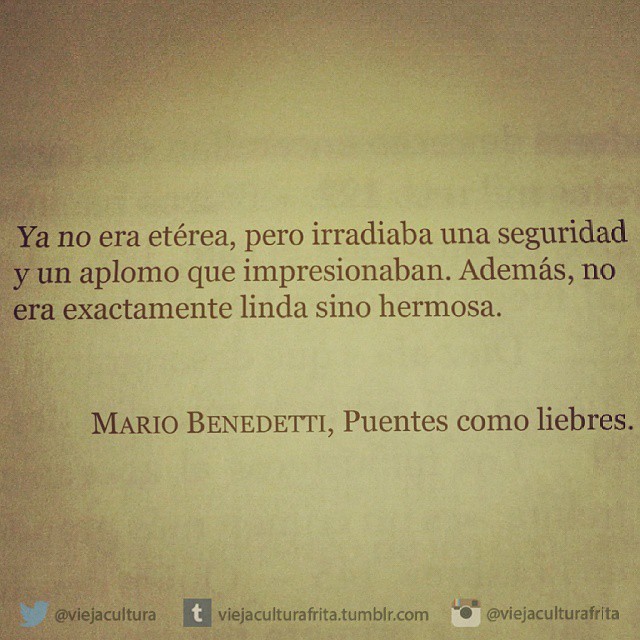 Puentes como liebres