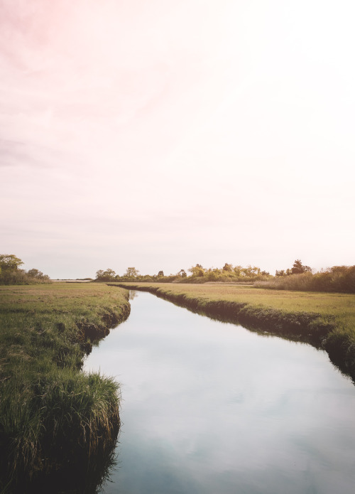 youseethenew:Sunset in the Wetlands