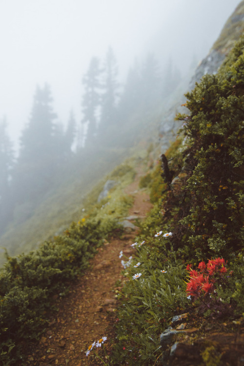 youseethenew:Gradual hikes in Washington || IG: BToneVibes