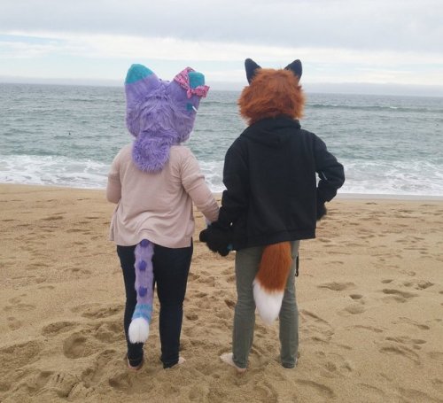 Meulin and Commie at the beach!