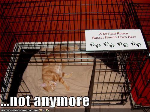 I think Monday will from now on be Lolcats day - and so I bring you today’s Lolcat…