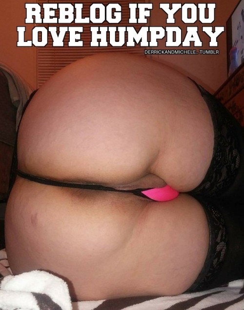 bigwhootycentral:derrickandmichele:Happy hump day TUMBLR feel...