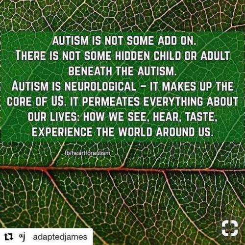 repost autism autistic adapttheworldnotthehuman actuallyautistic dyspraxia sensory weightedblankets business autisticadult sensoryprocessingdisorder spd autisticbusiness autismproud redinstead doilookautisticyet autismacceptance tinybusiness smallbusiness proud neurodivergent disabledisnotabadword flappyhandsarehappyhands nothingforuswithoutus acceptancenotawareness identityfirst