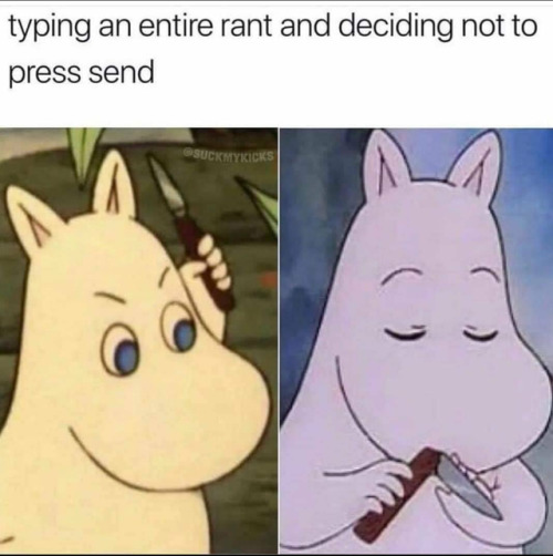 meirlbot