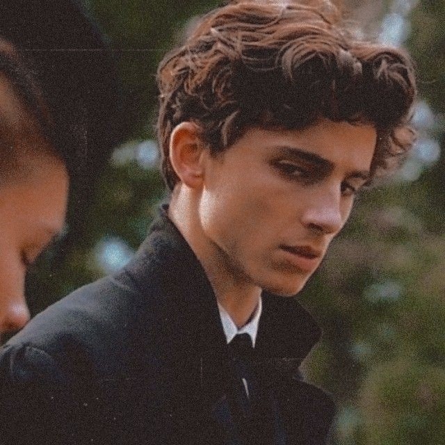 timothée chalamet icons | Tumblr