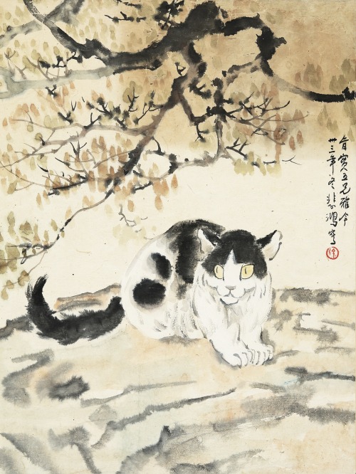 oncanvas