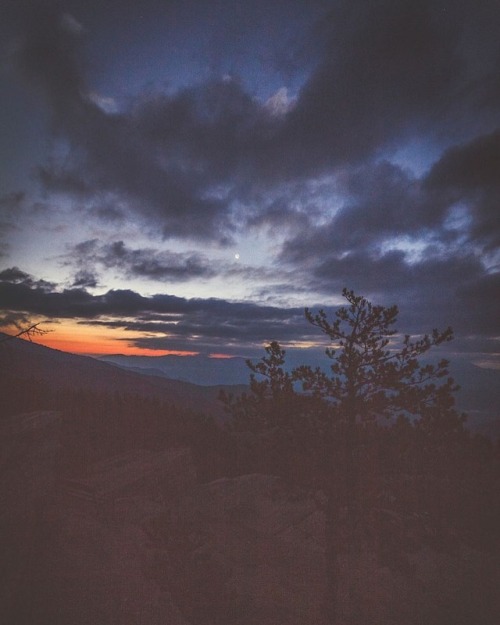 Twilight#twilight #sky #clouds #dark #moon #colors #tree...