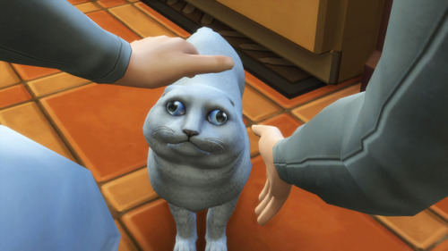 anakel13ts4stuff