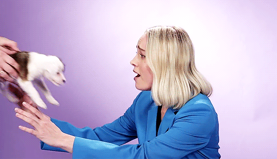 Brie Larson recibiendo un cachorro