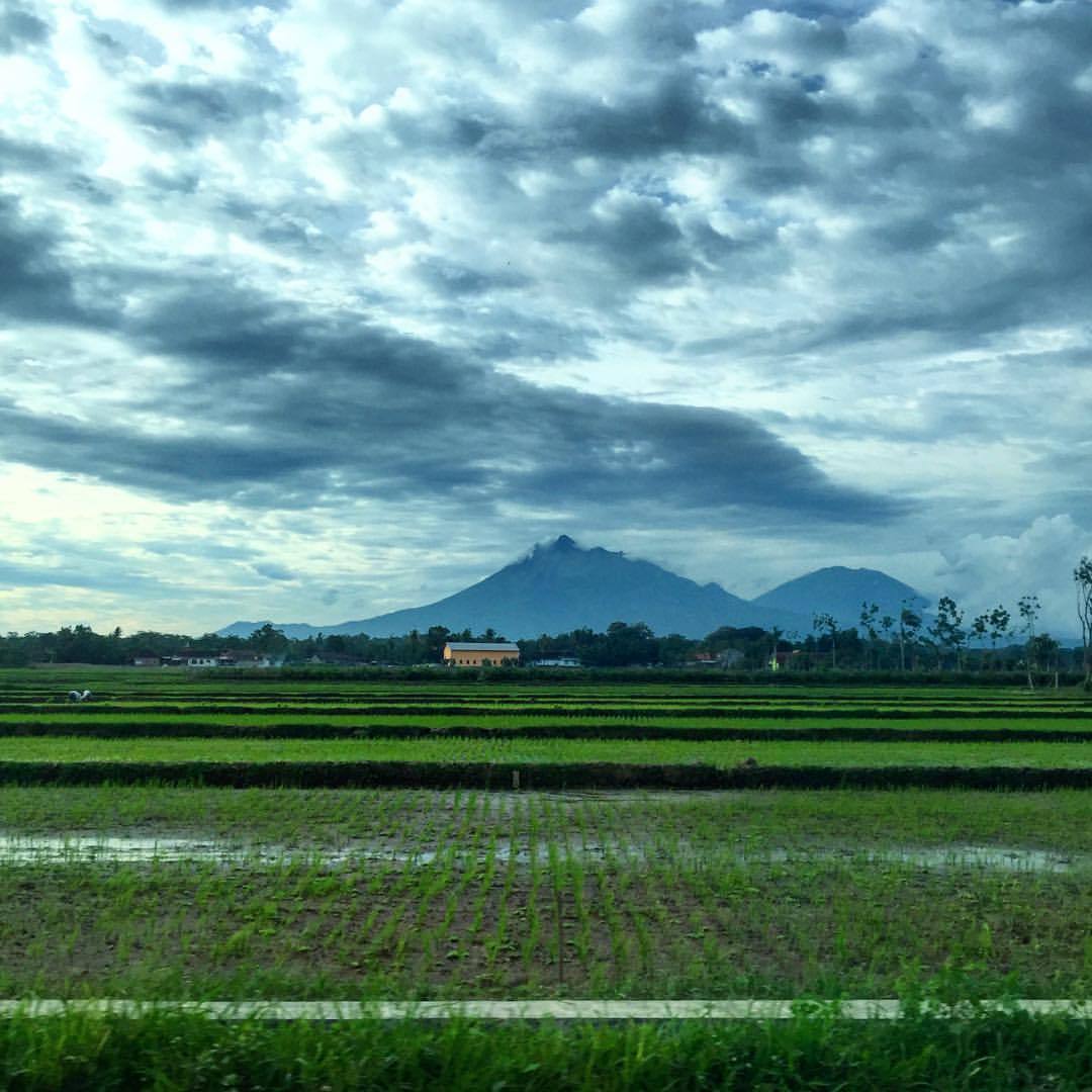 Merapi Mountain, seen from the west side of the ...