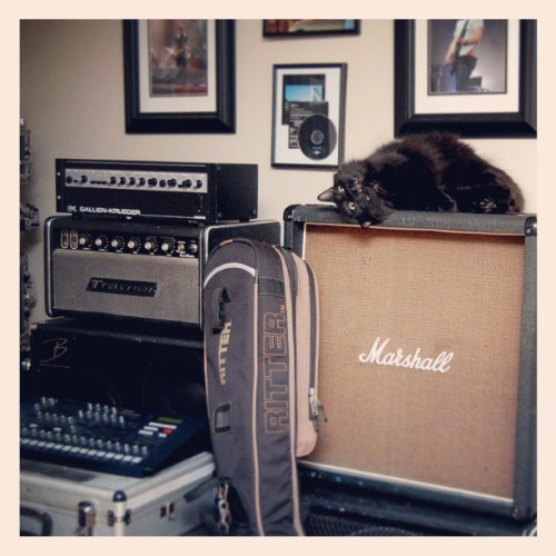 traynor catsofinstagram sydtthecathfx marshall gearhead korg gallienkrueger