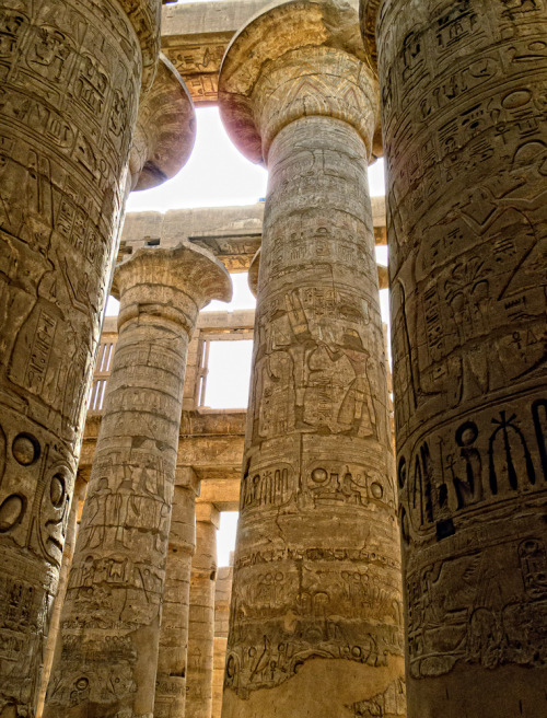 grandegyptianmuseum:The Great Hypostyle Hall in the Precinct...