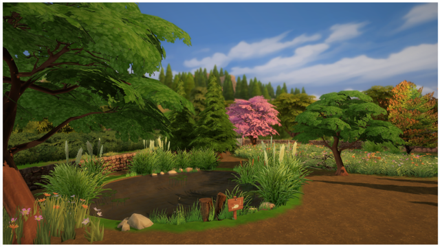 cindersap forest cindersap forest