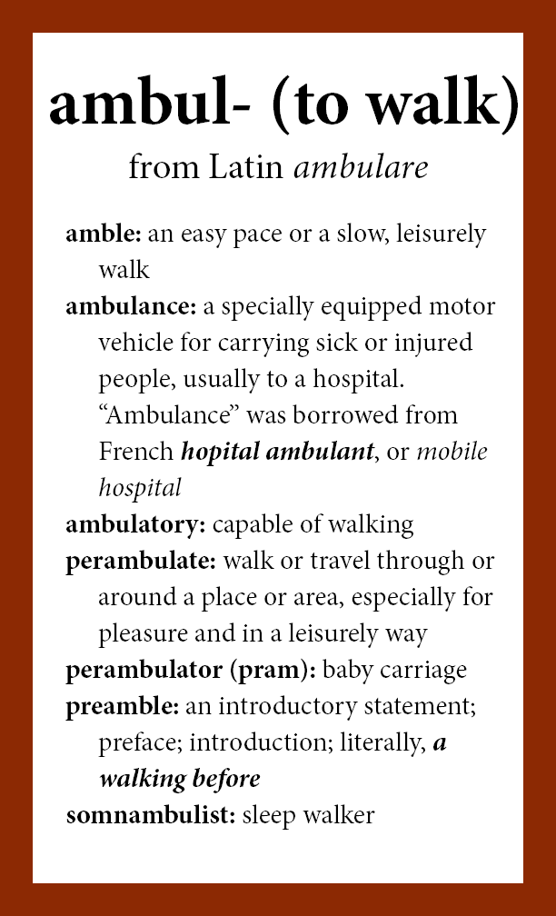 perambulator etymology