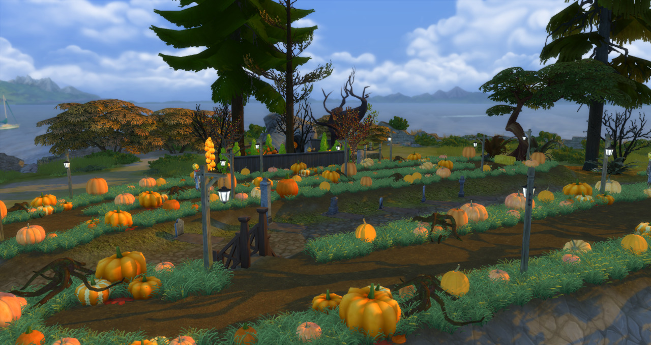 adventurequest 3d pumpkin seeds adventurequest 3d pumpkin seeds