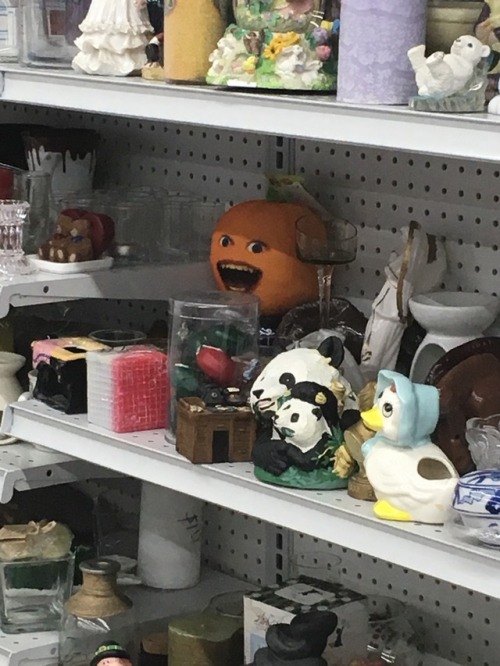 shiftythrifting:he awaited my arrivalgoodwill in orangevale