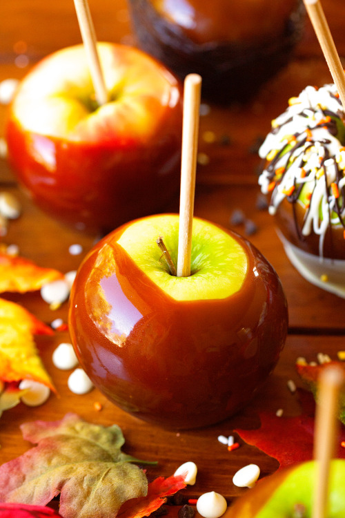 sweetoothgirl:Perfect Caramel Apples