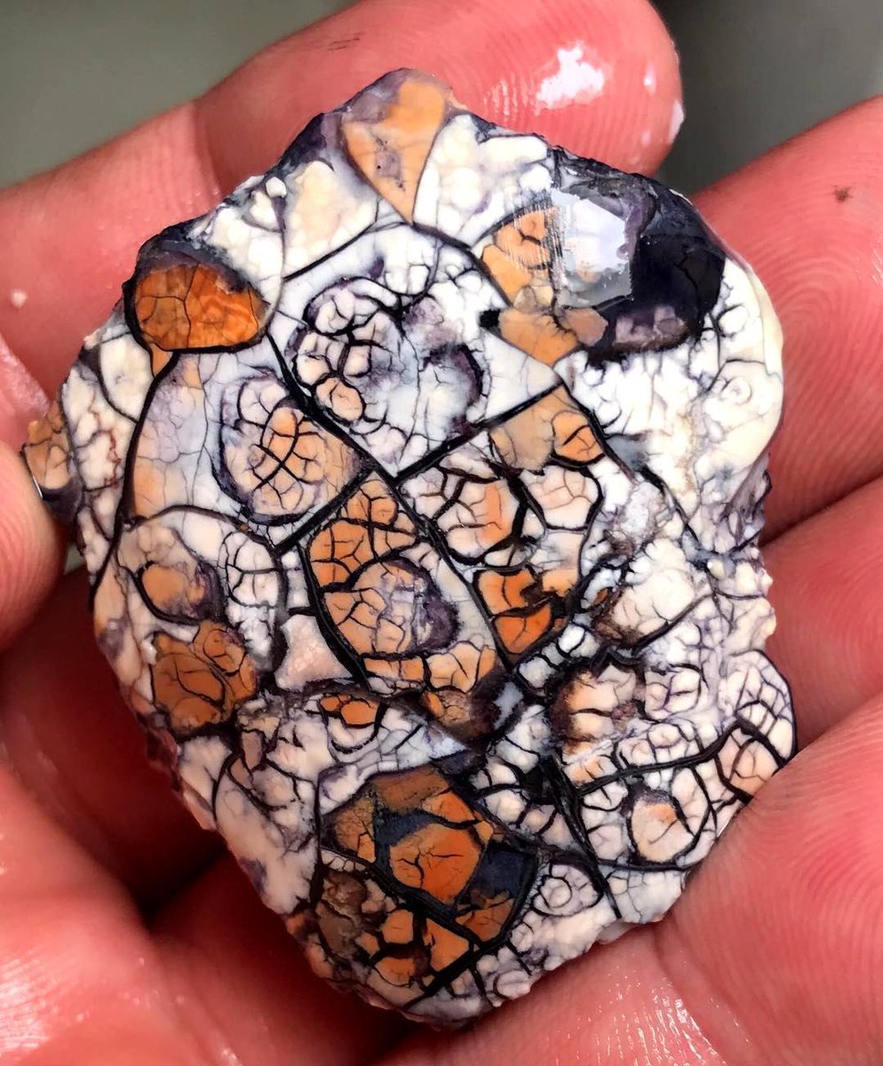 geologyin-blog: â€œWOW, magnifique spÃ©cimen de Tiffany Stone (variÃ©tÃ© de fluorite) Photo: SilverHillLapidaryâ€
