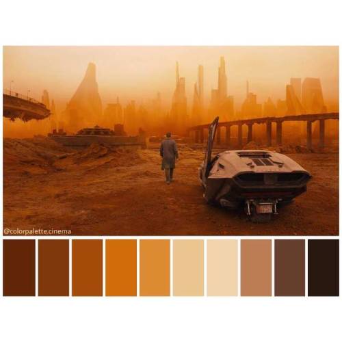 thehistoryofarts:Lets get a look of Roger Deakins work in...