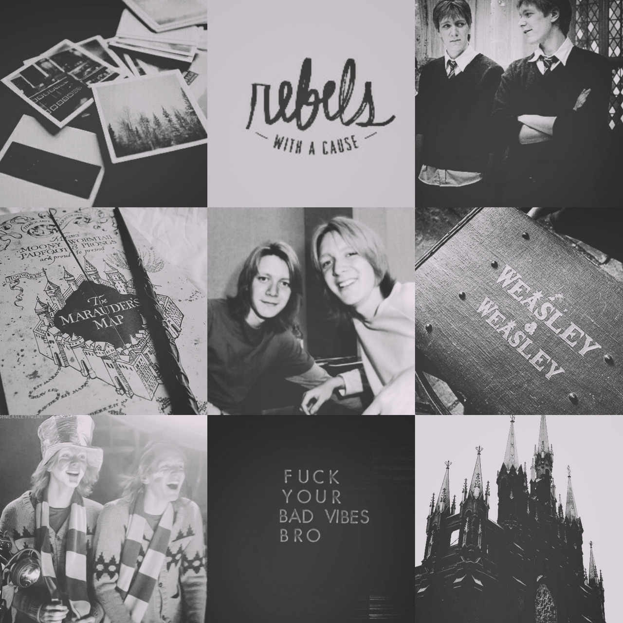 n i n a — ☄*ೃ The Weasley Twins; aesthetic ☄*ೃ I've had...