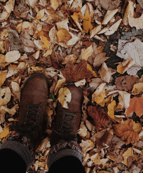 autumn clothes on Tumblr