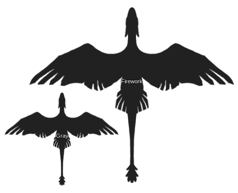 a graphic of two wildclaw dragon silhouettes, labeled 'gray' and 'firework.' firework is much larger than gray, he looks the size of a child compared to her.
