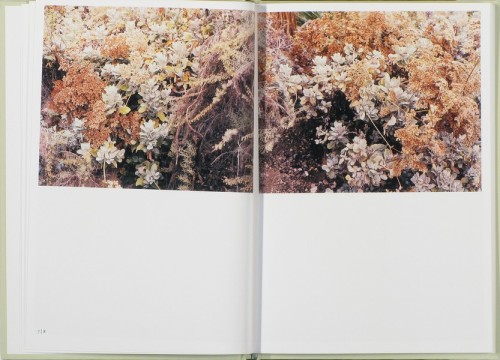 vjeranski:In Our Nature. Photographs by Takashi Hommavia