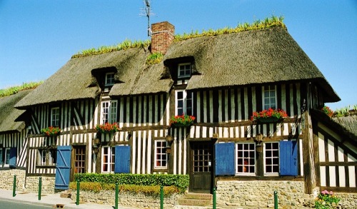 floralls:Normandy, Franceby  Rick Ligthelm