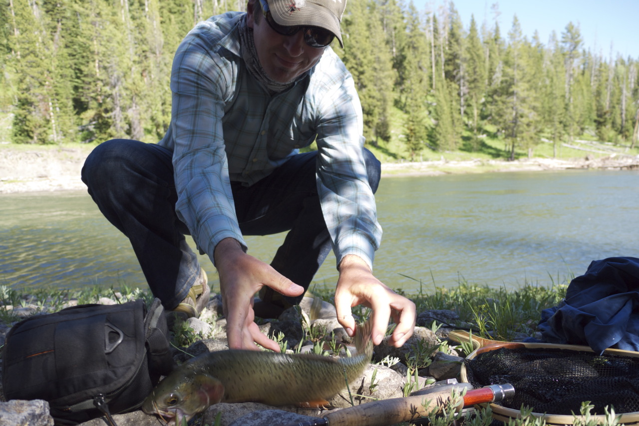 Lost Behind the Ranges — Fish Flop Friday. Where I look