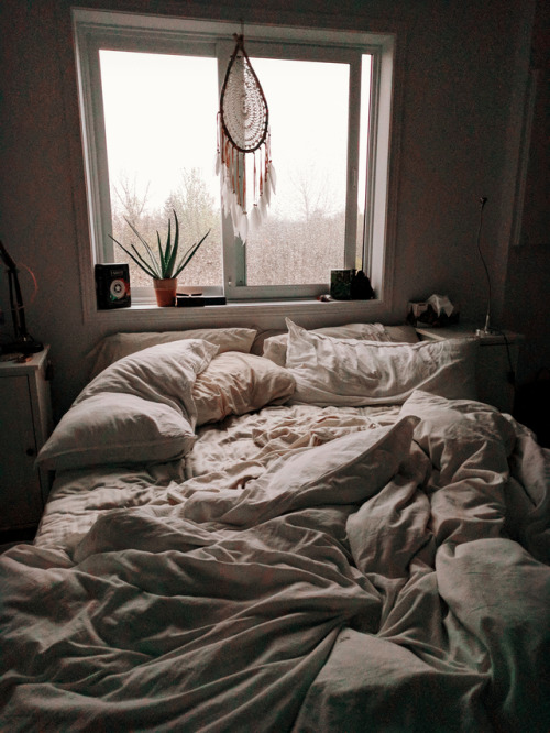 comfy bed on Tumblr