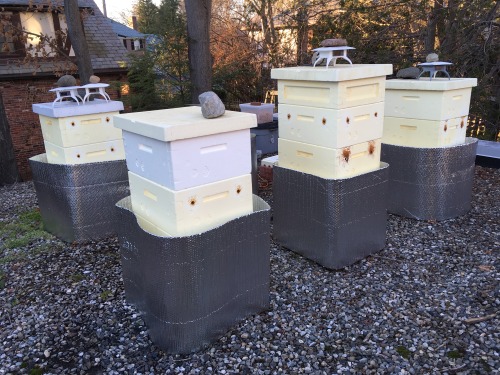 2017-12-04  Having a very warm fall (December!) and the hives...