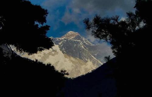 discoveryworldtrekking