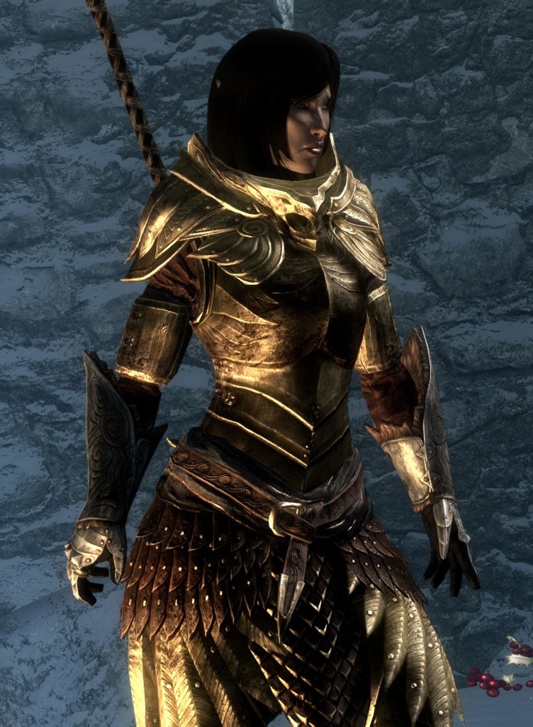 Cats n' Dragons, Skryim female armor appreciation post