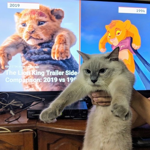 mwaomwao