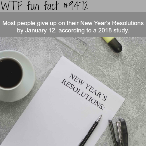 Fact Of The Day-Friday January 18th 2019 Tumblr_plg9scjSTw1roqv59o1_500