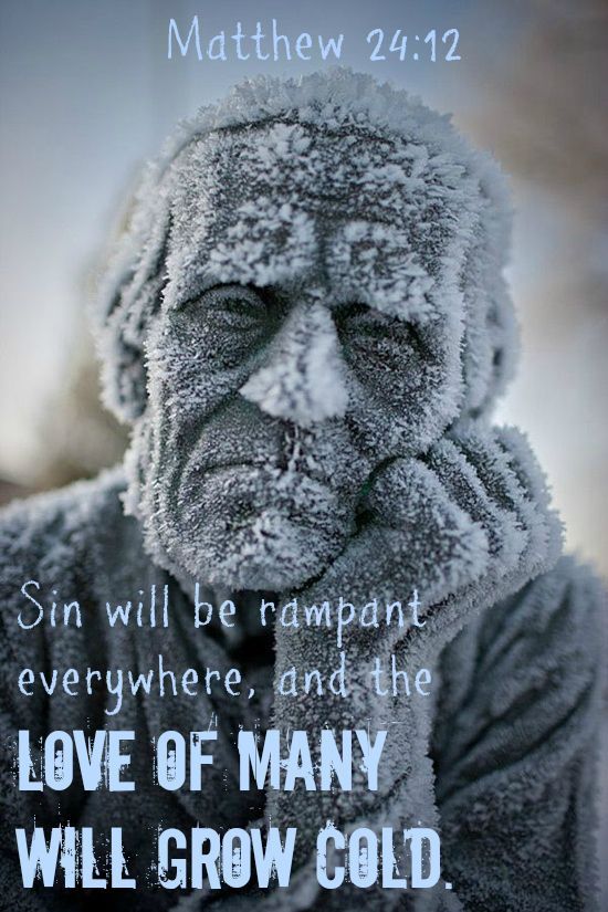 The Living Matthew 24 11 13 NLT And Many False Prophets 