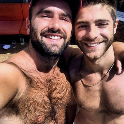 HAIRY GAY Hairy Gay