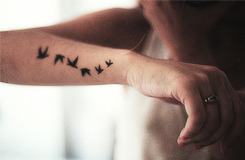 tumblr tattoos birds