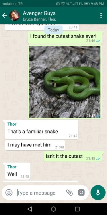 avengersgroupchat:requested: peter finds a cute snake