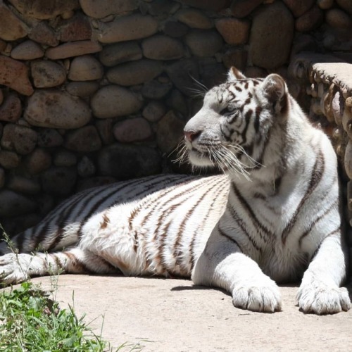 De #visita en el #zoologico #parquesahuatoba #vacaciones...