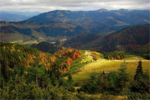 blueskygoldenground:Carpathian Mountains, Ukraine