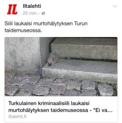 @Internetin kiintiöhomo.