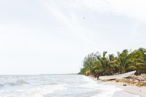 heyvian:Hopkins, Belize | 2015Tumblr | Facebook | Instagram...