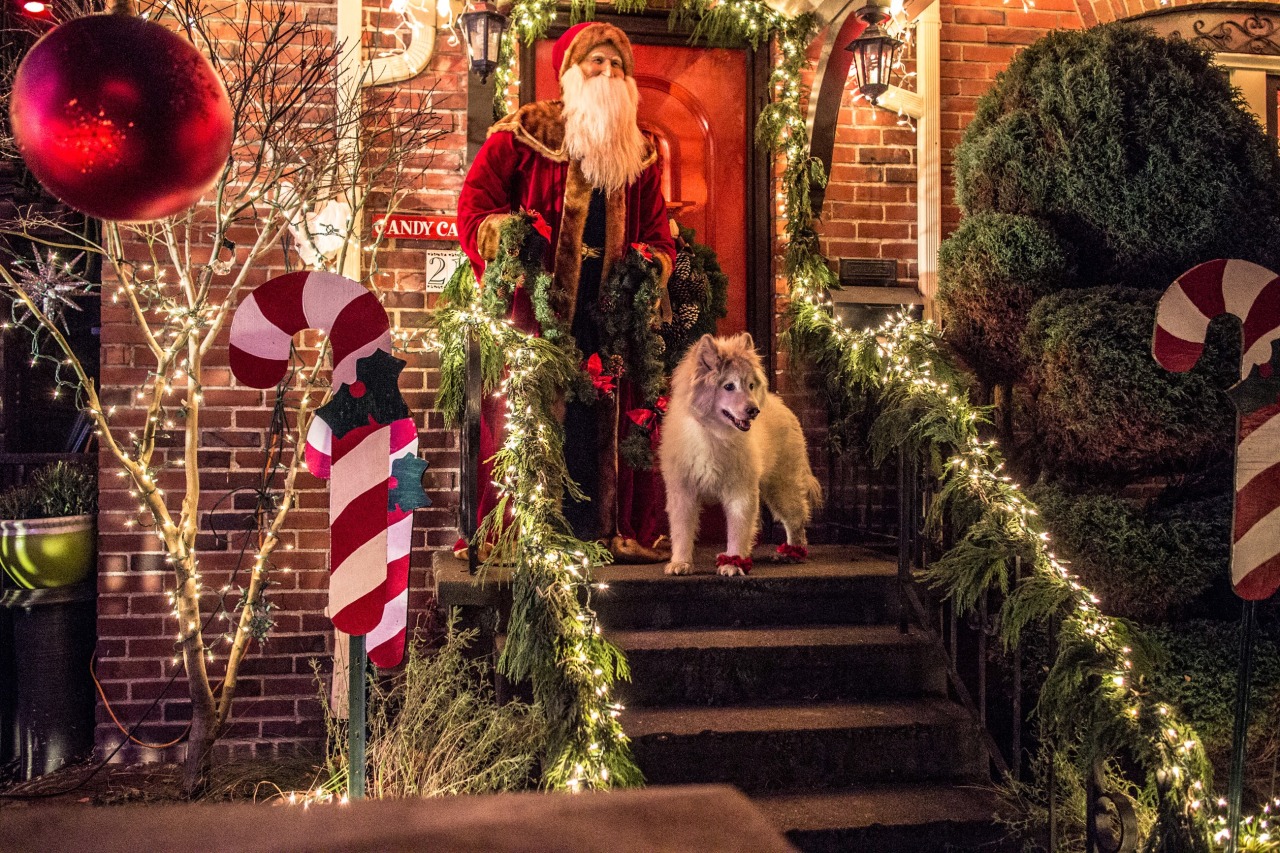 A TRULY ENORMOUS JOURNEY — Visiting Candy Cane Lane in Seattle. My