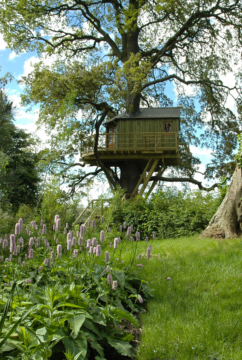 Adult Treehouse Hideaway A Nice And Spacy Tree House Love