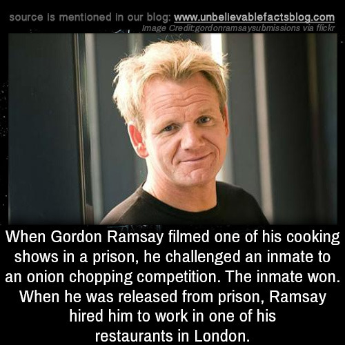 gordon ramsay on Tumblr