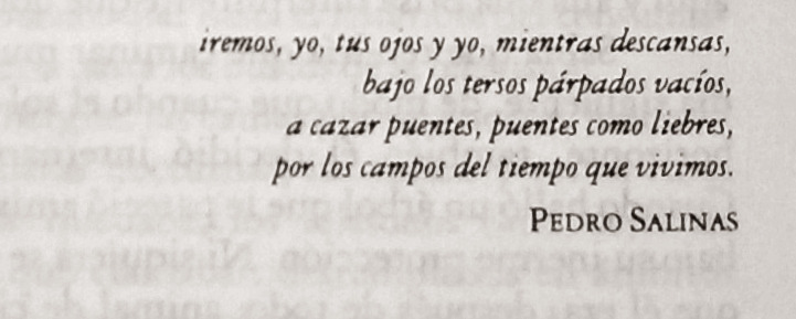 Puentes como liebres